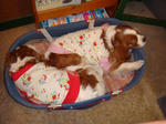s-DSC01570.jpg