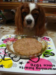 s-DSC01577.jpg