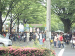 タイフェス１