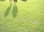 tpc1.jpg