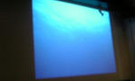100602_215304.jpg