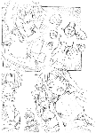 jun13-02.gif