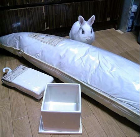 粉雪さんのは無いなり。
