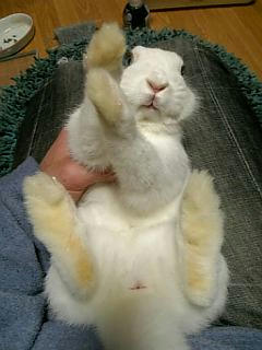 こんにちは