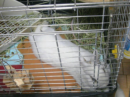 伸びる・・・。