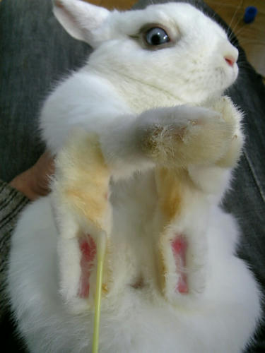 なんばしよるね！！