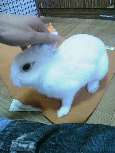 え！なっ、なに！？
