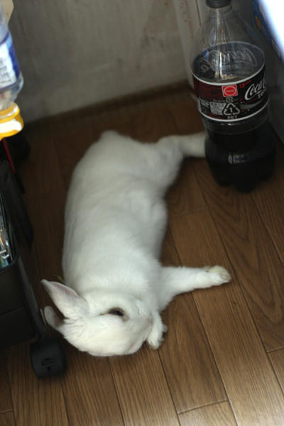 手舐める～
