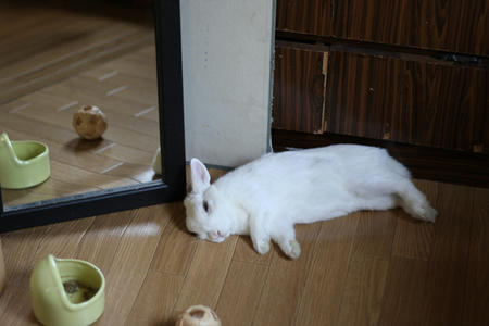 お約束＾＾