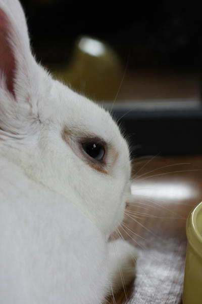 顔！近！！