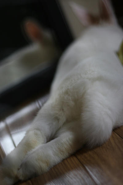 お尻