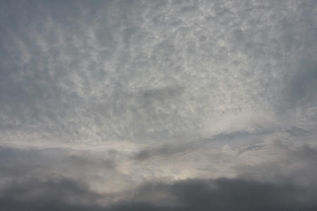 今朝の空。
