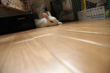 色んな角度で・・・