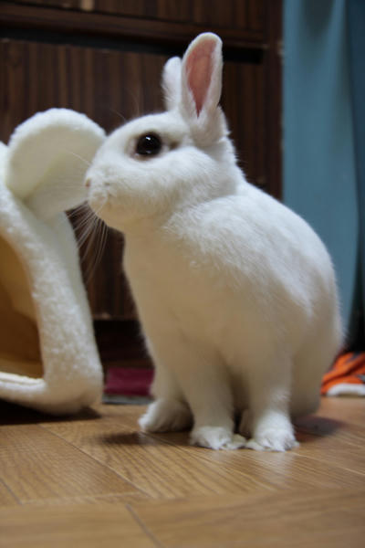 この人。