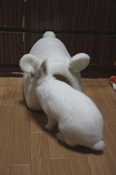 どう？