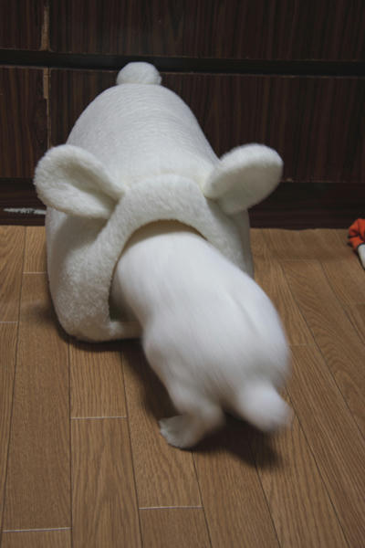 おお！？