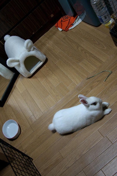 まあまあ気長にｗ