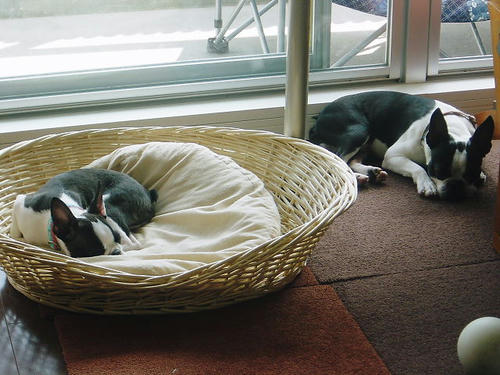 20081004_rokushio01.jpg