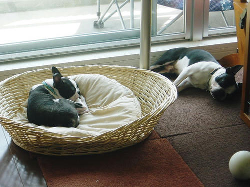 20081004_rokushio02.jpg