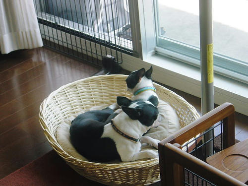 20081004_rokushio03.jpg