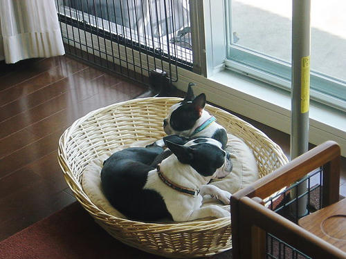 20081004_rokushio04.jpg