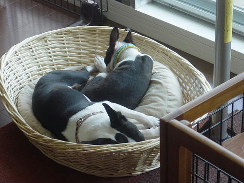 20081004_rokushio05.jpg