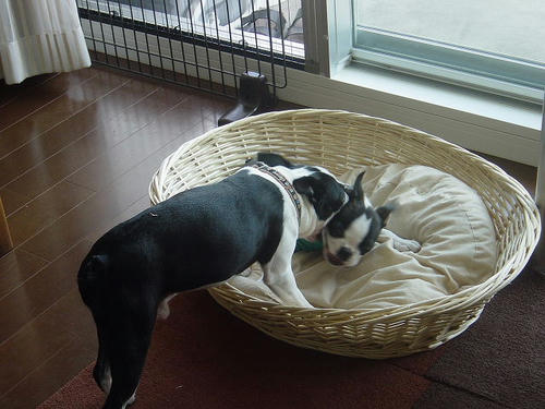 20081004_rokushiobattle03.jpg