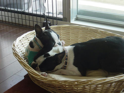 20081004_rokushiobattle06.jpg