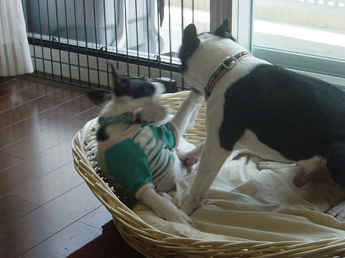 20081004_rokushiobattle07.jpg