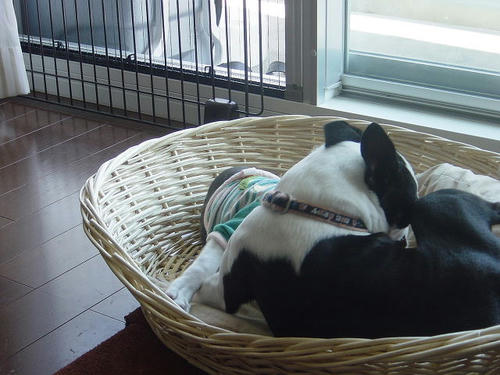 20081004_rokushiobattle08.jpg
