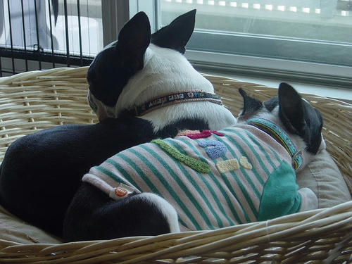 20081004_rokushiobattle10.jpg