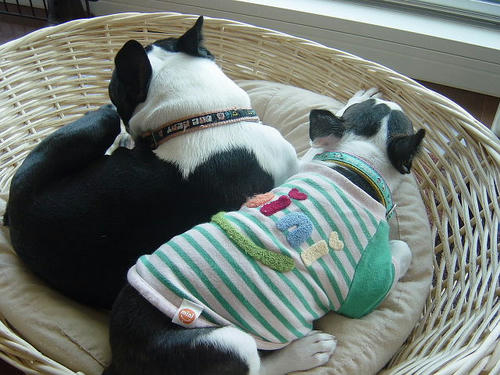 20081004_rokushiobattle11.jpg