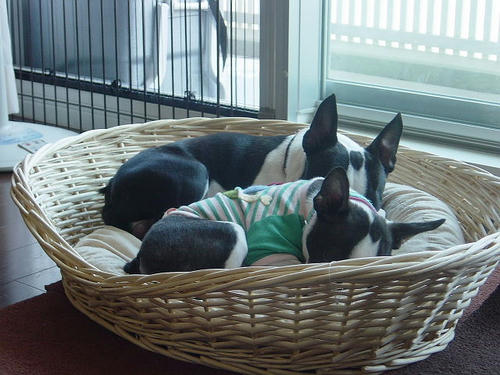 20081004_rokushiobattle12.jpg