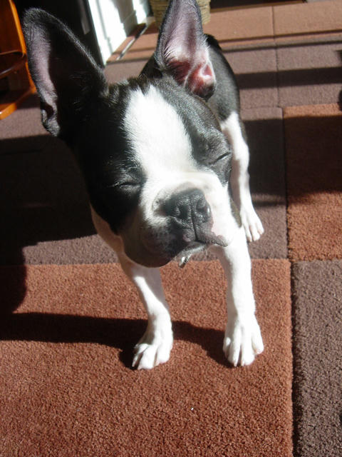 20081009_shiomorning03.jpg