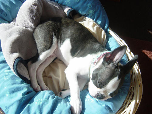 20081009_shiomorning02.jpg