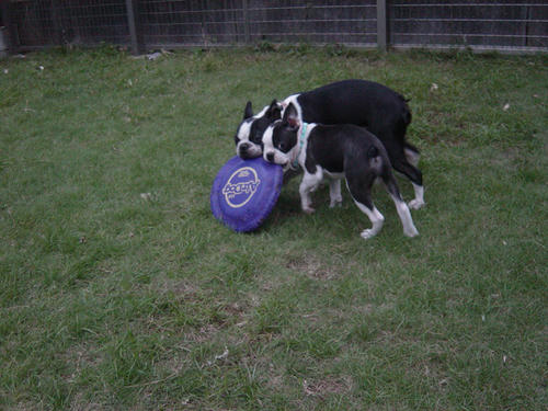 20080928_tcrun04.jpg