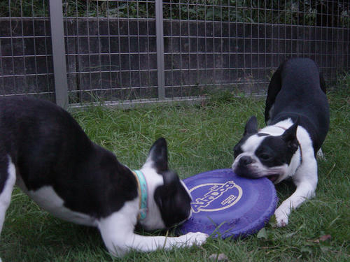 20080928_tcrun05.jpg