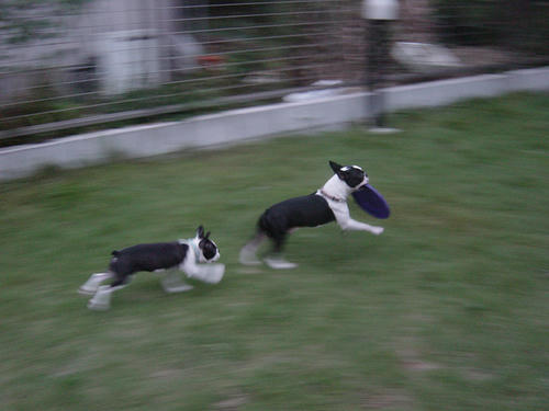 20080928_tcrun06.jpg