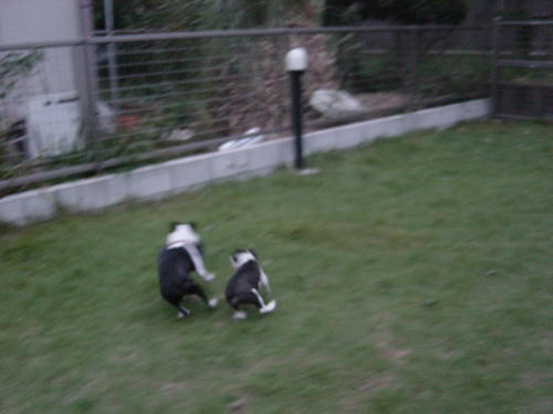 20080928_tcrun07.jpg