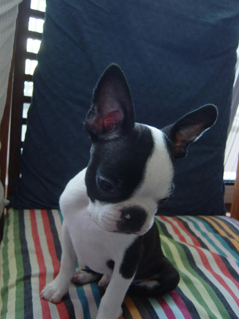 20081013_creo01.jpg