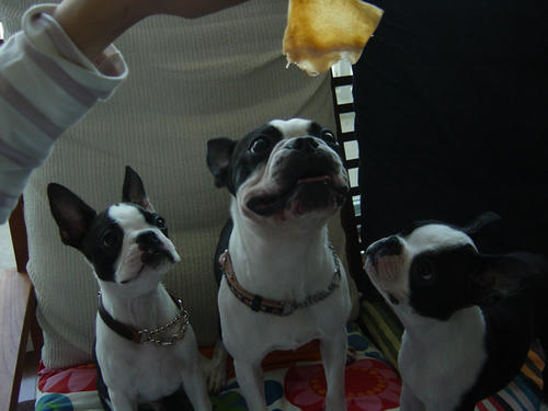 20081013_creorokushio01.jpg