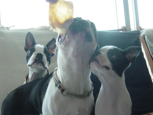 20081013_creorokushio02.jpg