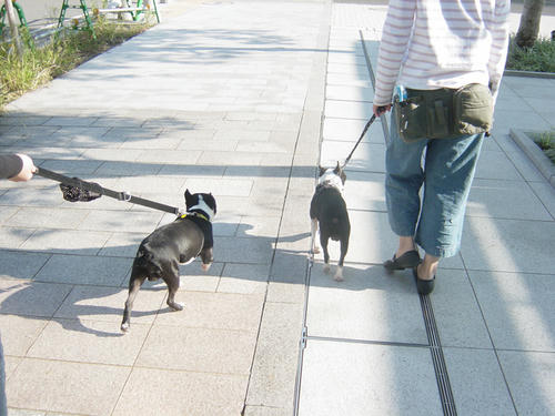 20081013_jackroku02.jpg