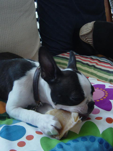 20081013_shio01.jpg