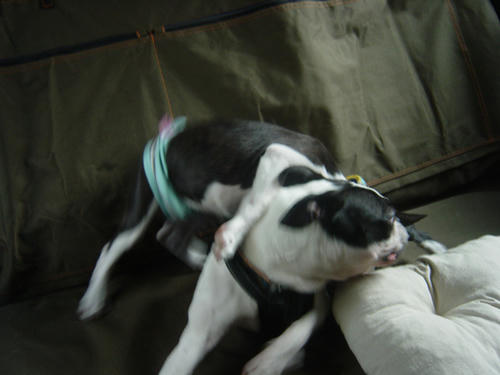 20081012_Incar06.jpg