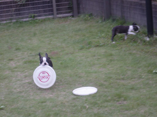 20081012_creoshio04.jpg