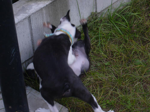 20081012_creoshio09.jpg