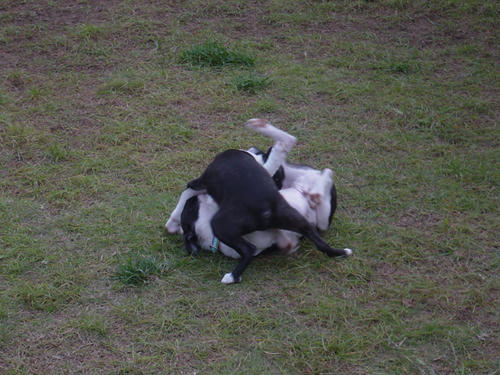 20081012_creoshio08.jpg