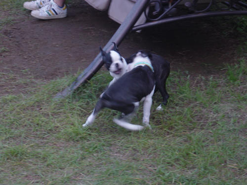 20081012_creoshio11.jpg