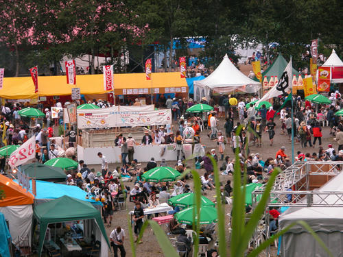 200307_FujiRock06.jpg